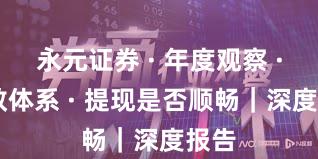 永元证券 · 年度观察 · 投教体系 · 提现是否顺畅｜深度报告