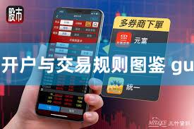 开户与交易规则图鉴 gu