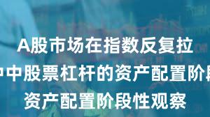 A股市场在指数反复拉锯阶段中中股票杠杆的资产配置阶段性观察